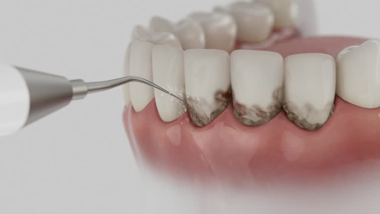 Reliable Dental contractor in Pilot Mountain, NC by Dentist Open Now